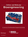 Cellular and Molecular Bioengineering杂志封面